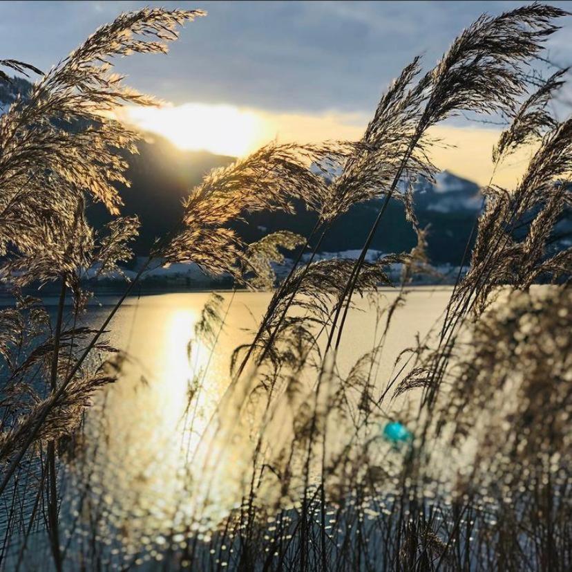 Wolfgangsee Seeblickplatzl 220 - Mit Tollem Seeblick! Strobl Luaran gambar
