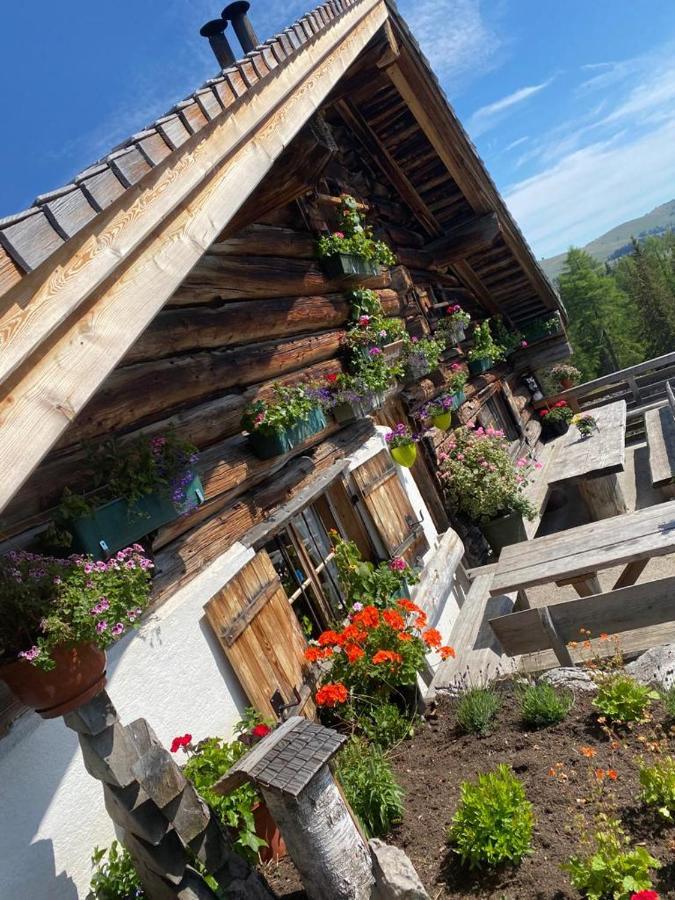 Wolfgangsee Seeblickplatzl 220 - Mit Tollem Seeblick! Strobl Luaran gambar